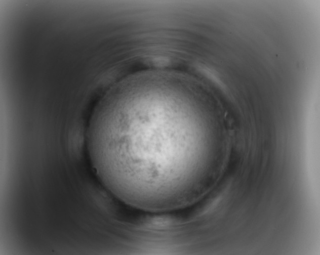 X0000088900645200706151849