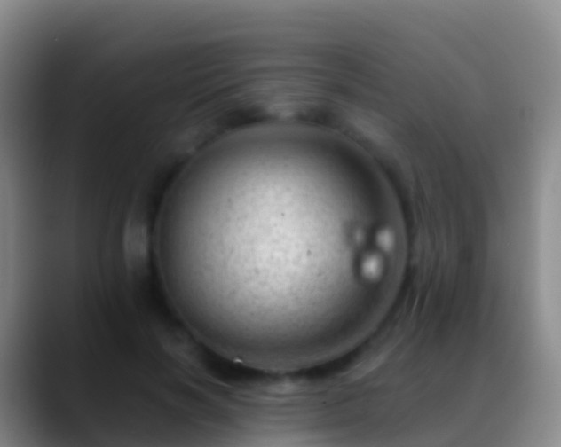 X0000088900646200706151849