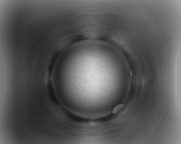 X0000088900647200706151849