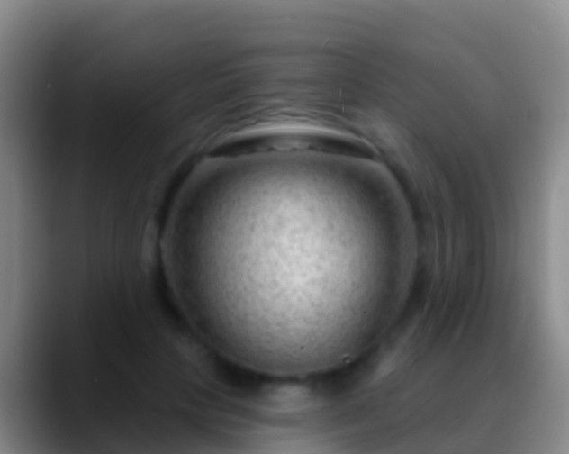 X0000088900649200706151849