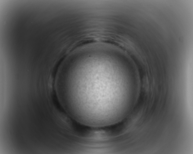X0000088900650200706151849