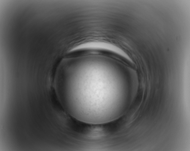 X0000088900651200706151849