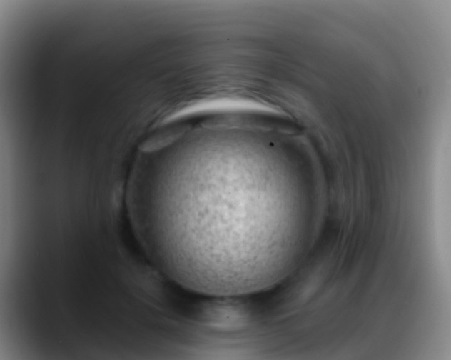 X0000088900652200706151849