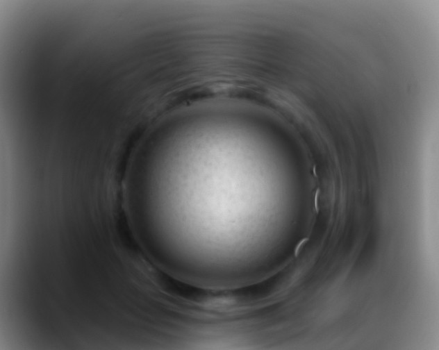 X0000088900653200706151849