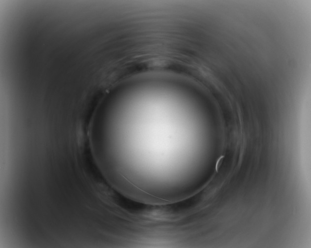 X0000088900655200706151849