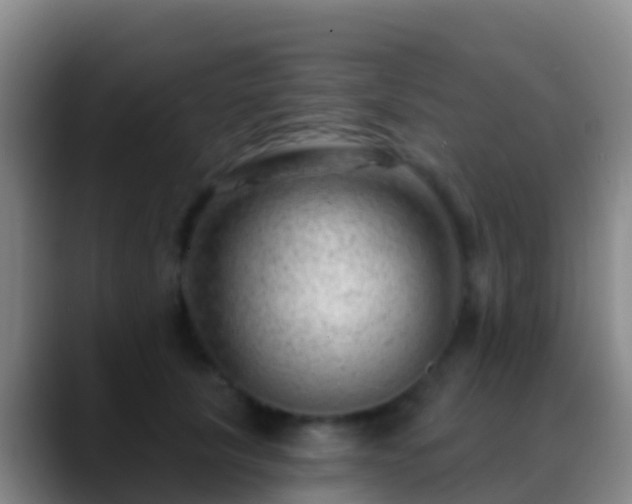 X0000088900657200706151849