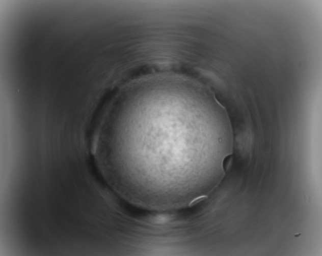 X0000088900662200706151849