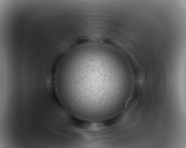 X0000088900663200706151849