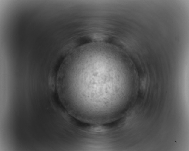 X0000088900666200706151849
