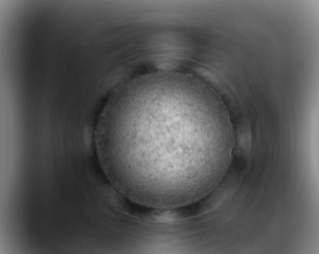 X0000088900667200706151849