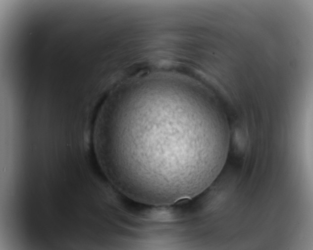 X0000088900668200706151849