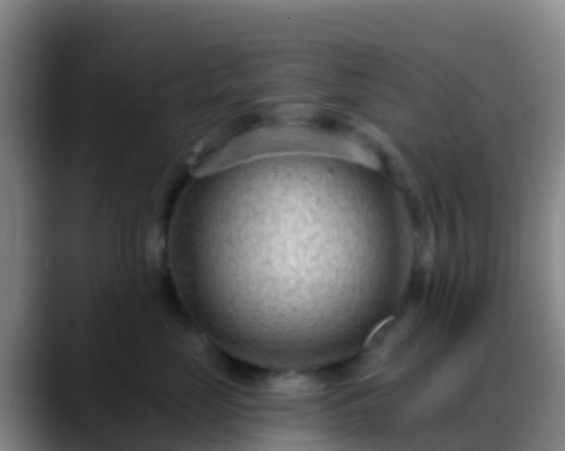 X0000088900669200706151849