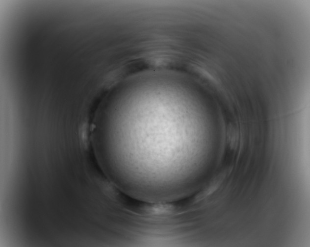 X0000088900670200706151849