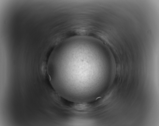 X0000088900671200706151849