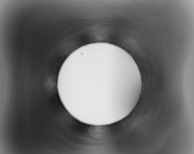 X0000088900672200706151849