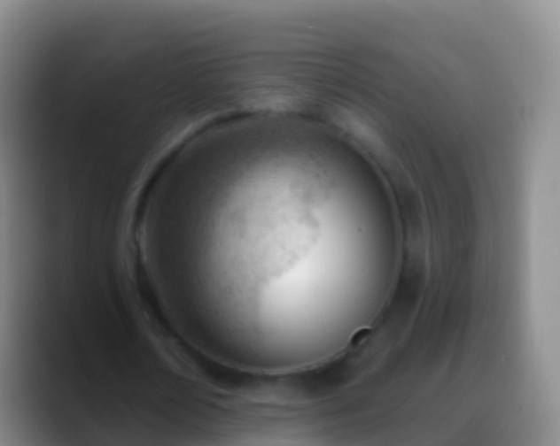 X0000088900674200706151848