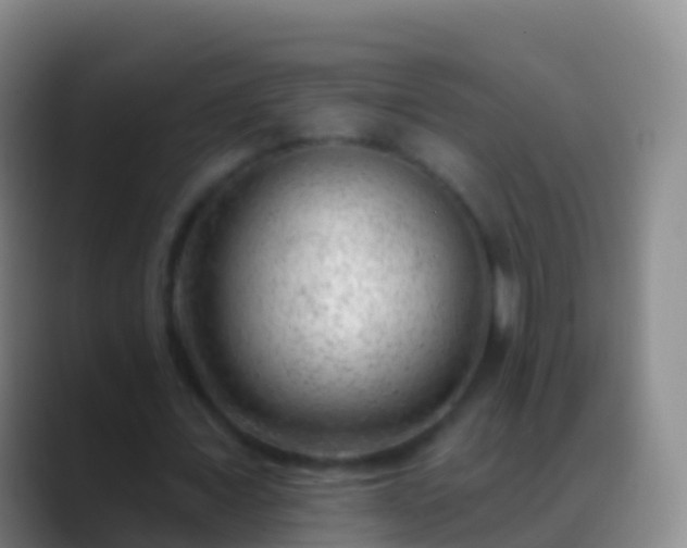 X0000088900675200706151848