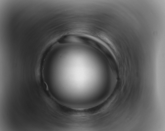X0000088900677200706151848