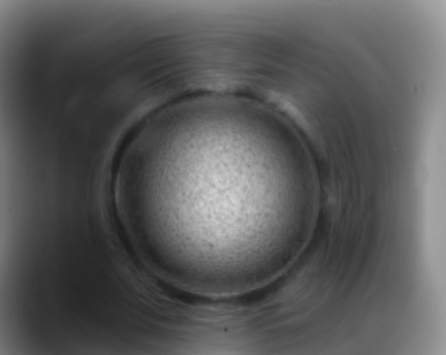 X0000088900679200706151848