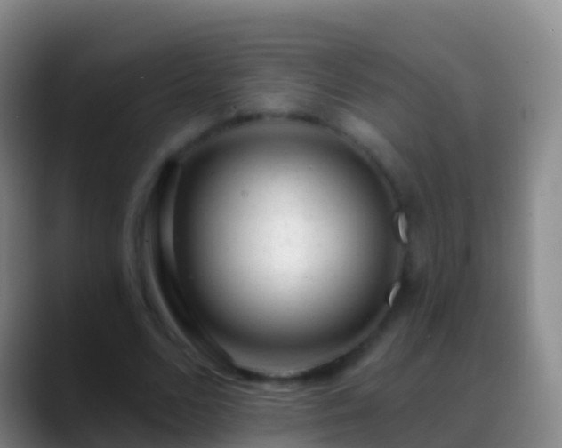 X0000088900680200706151848