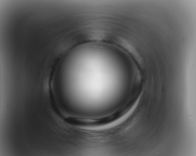 X0000088900681200706151848