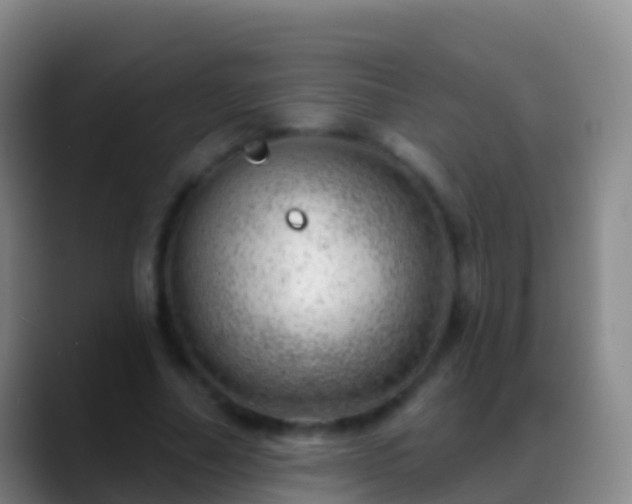 X0000088900682200706151848