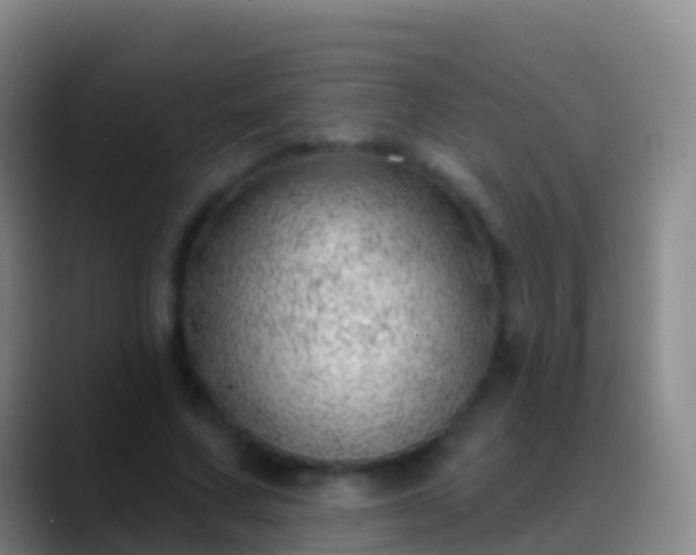 X0000088900683200706151848