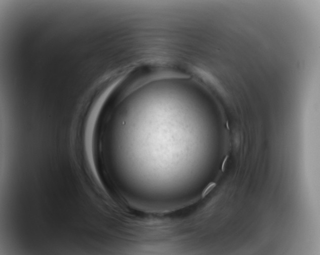 X0000088900684200706151848