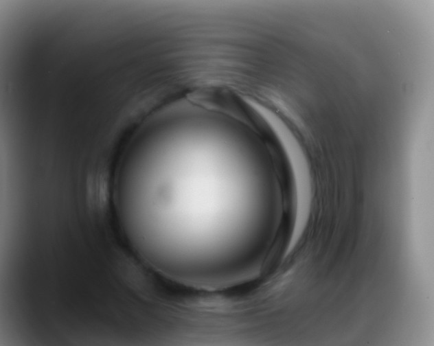 X0000088900685200706151848