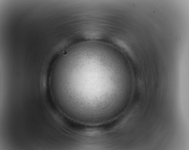 X0000088900686200706151848