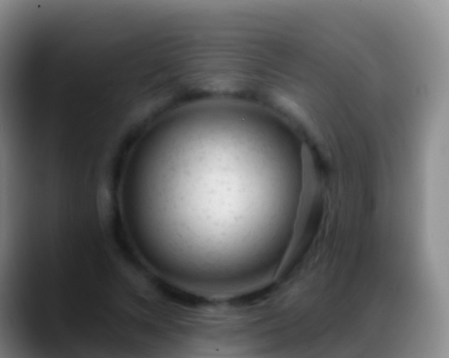 X0000088900688200706151848