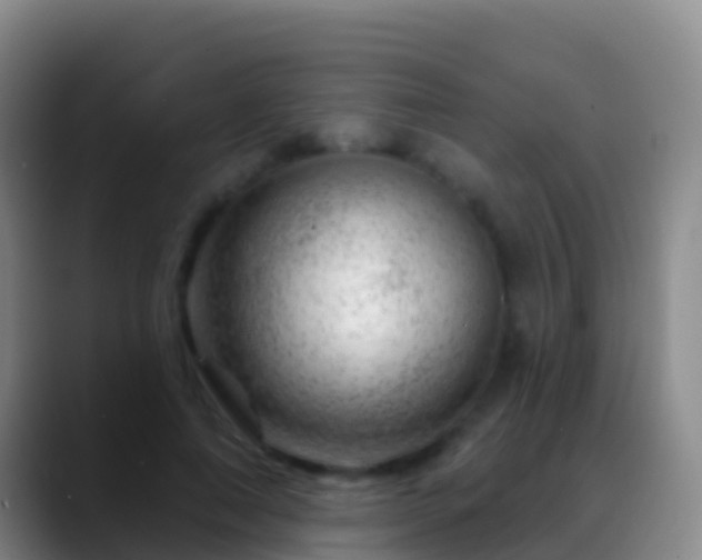 X0000088900690200706151848