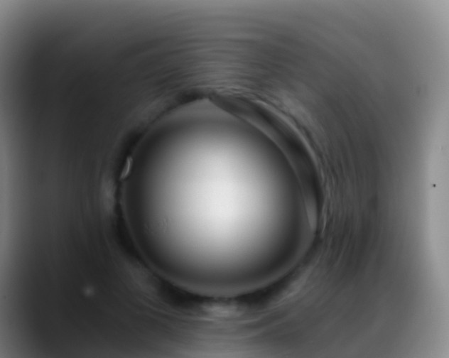 X0000088900693200706151848