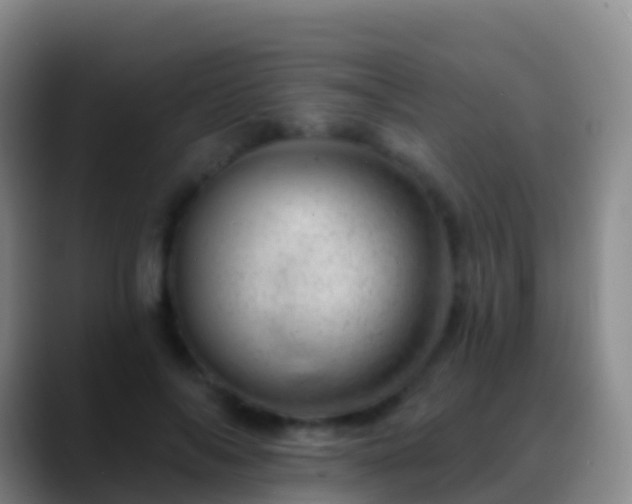 X0000088900694200706151848