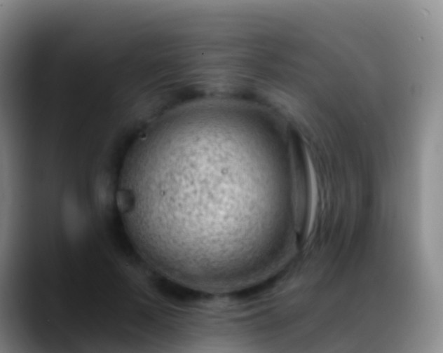 X0000088900695200706151848