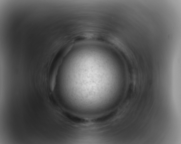 X0000088900696200706151848
