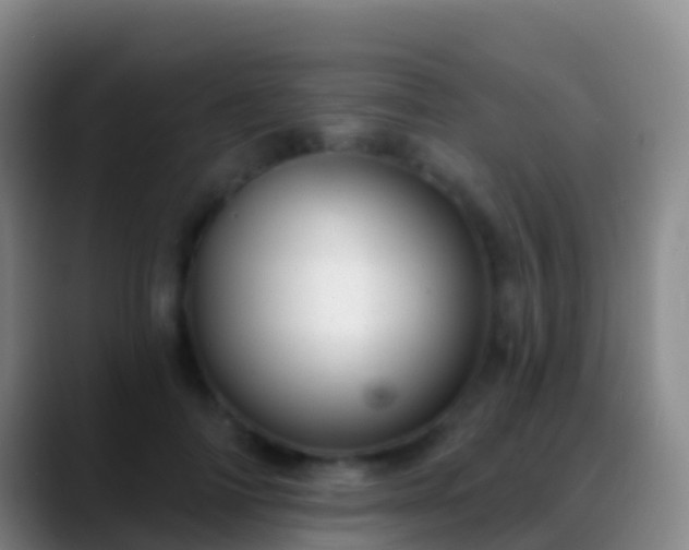 X0000088900698200706151848