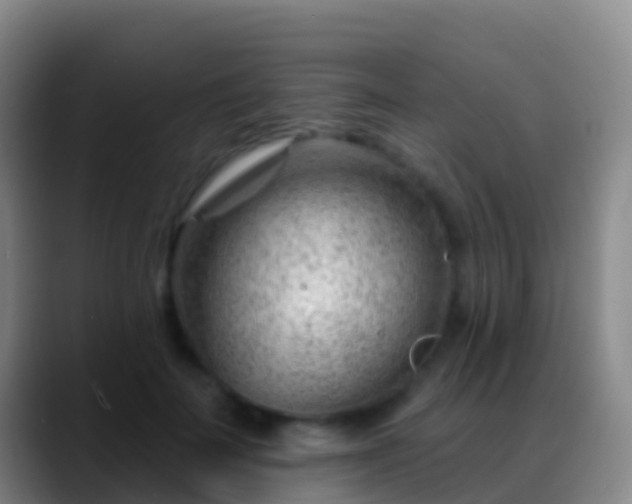 X0000088900699200706151848