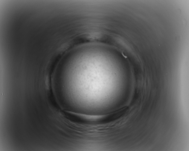X0000088900700200706151848