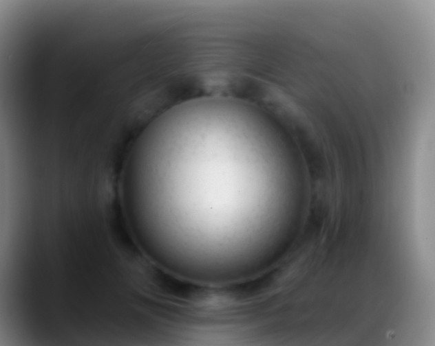 X0000088900702200706151848