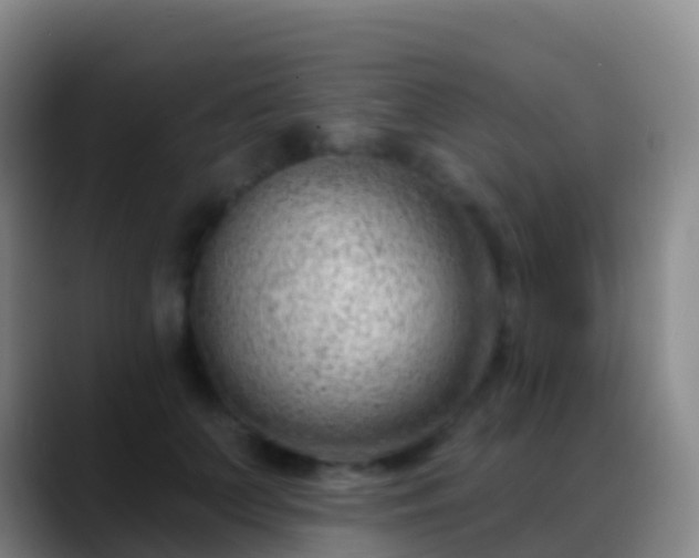 X0000088900703200706151848