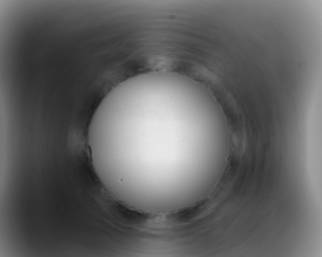 X0000088900705200706151848