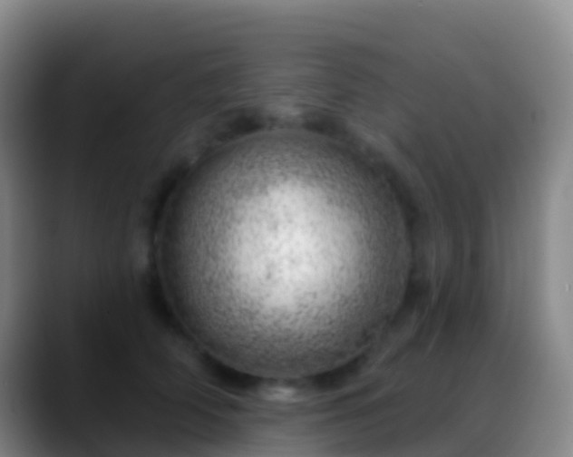 X0000088900706200706151848