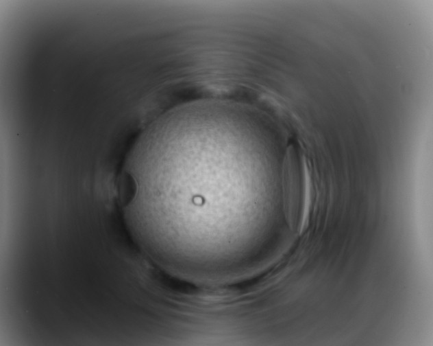 X0000088900707200706151848