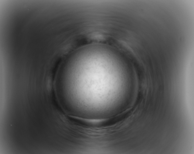 X0000088900708200706151848