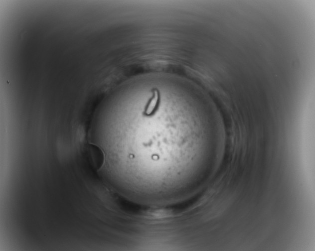 X0000088900711200706151848