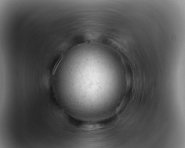 X0000088900712200706151848