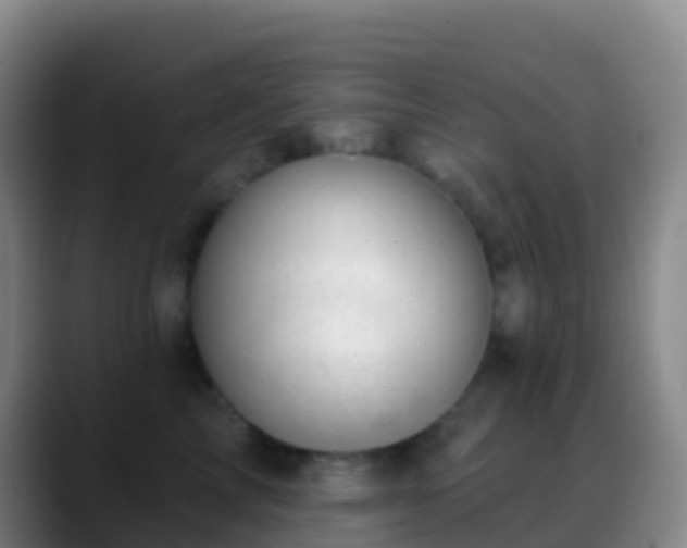 X0000088900713200706151848