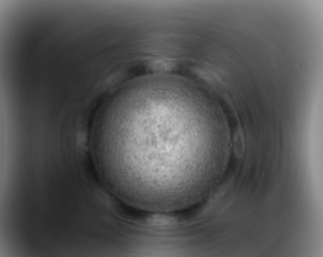 X0000088900714200706151848