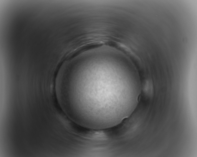 X0000088900715200706151848